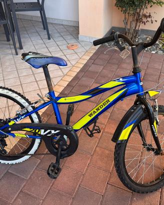 Bicicletta bimbo 20”