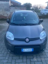 Panda city life hybrid