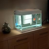 Acquario 43 litri vetro completo di pompa  luce