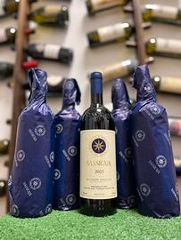 Sassicaia 2023