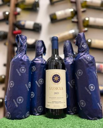 Sassicaia 2023