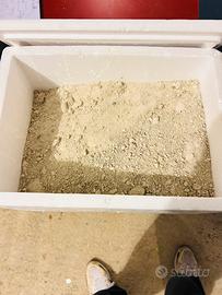 Sabbia Carib sea usata