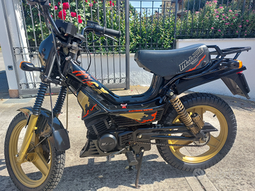 Fifty full cx anno 1988