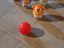 Immagine 1