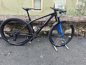 Bicicletta Front Ridewill