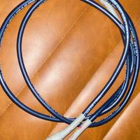 CARDAS 300-B MICRO cavi RCA