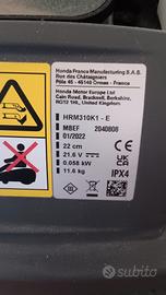 robot rabarbaro Honda