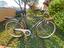 Immagine 4