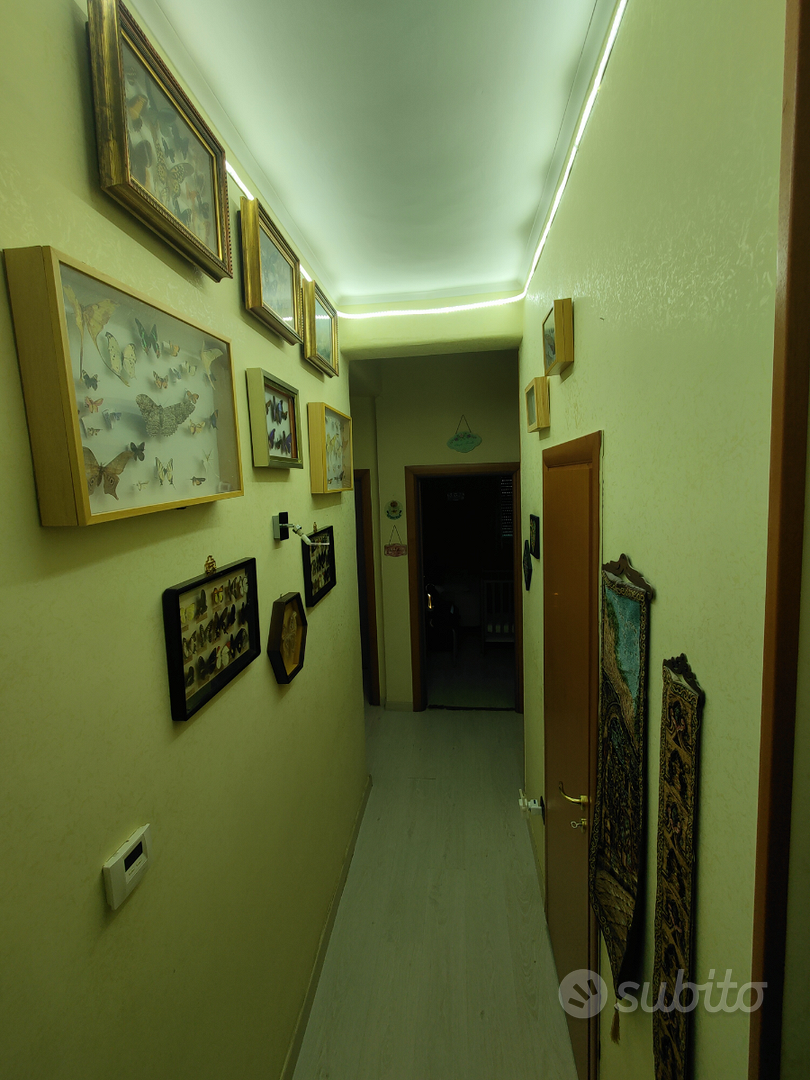 Apartment in Foggia - Vista 6