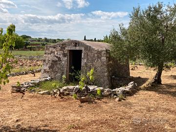 Terreno rustico con Lamia e Cisterna