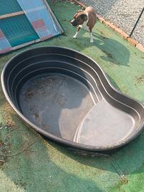 laghetto artificiale/piscina per i cani
