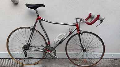 Bicicletta Freschi
