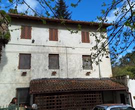 Rustico con terreno collina di Camaiore