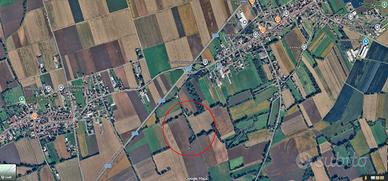Tc480 lestizza - terreno agricolo