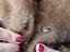 Immagine 5
