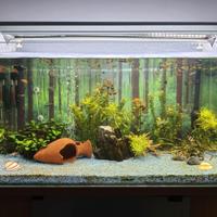 Acquario 100 litri completo di tutti gli accessori