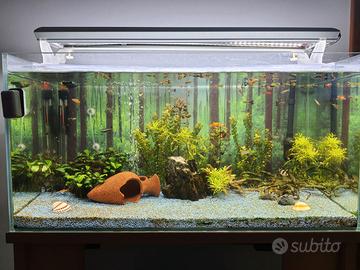 Acquario 100 litri completo di tutti gli accessori