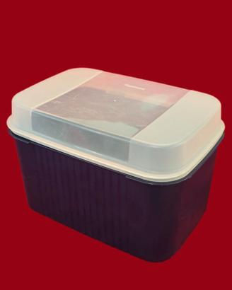 MAXI Ciotola grigliata Tupperware 30x21x19,8 cm