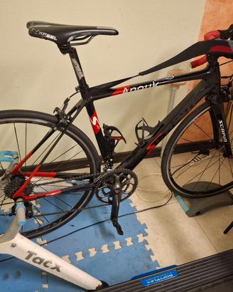 Bici in carbonio anno 2019