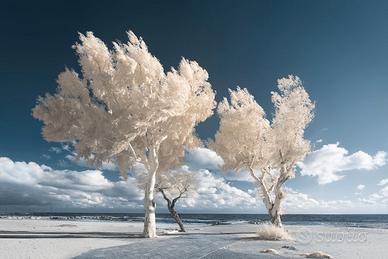 Samsung NX1000 20,3 MP full spectrum infrarosso