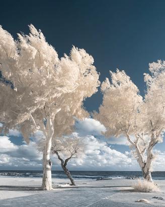 Samsung NX1000 20,3 MP full spectrum infrarosso