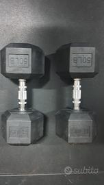 Manubri esagonali 22.5 Kg