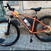 MTB megamo Natural special