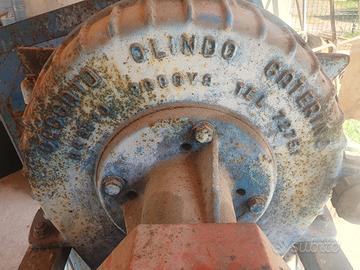 Mulino