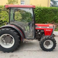 Massey Ferguson 164S Frutteto
