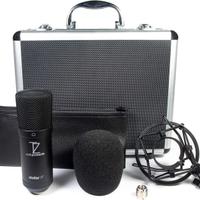 Microfono NUOVO Professionale AudioProducts TZ Ste