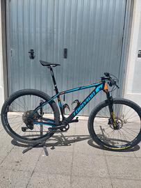 MTB 29 carbonio 12v