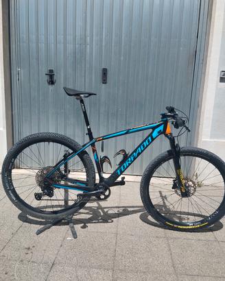 MTB 29 carbonio 12v