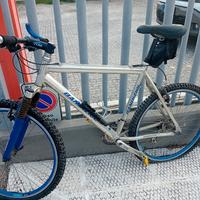 bicicletta mountain bike bandiziol
