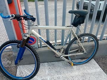 bicicletta mountain bike bandiziol