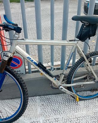 bicicletta mountain bike bandiziol