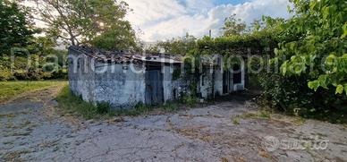 Fabbricati con terreno a Piedimonte Etneo