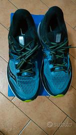 Saucony Triumph