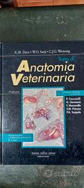 testo universitario 