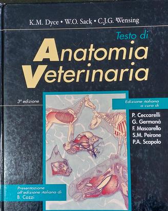 testo universitario 
