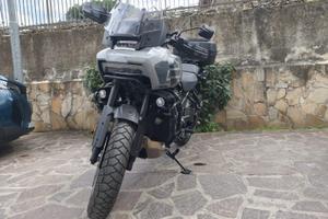 Pan america special