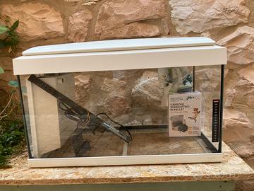Acquario 60lt