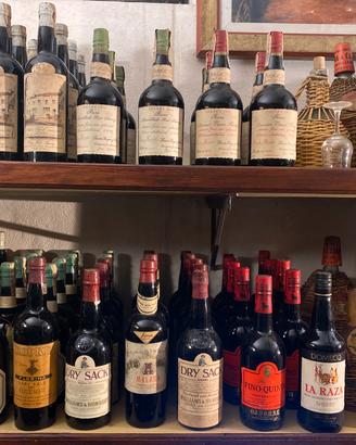 Lotto di 111 bottiglie di vino Sherry Spagnolo
