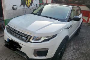 Land rover Range rover evoque 2.0 150 cv pure