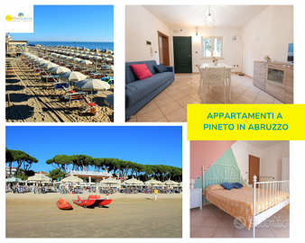 Ampio trilocale con aria condizionata