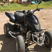 Quad dinli 450