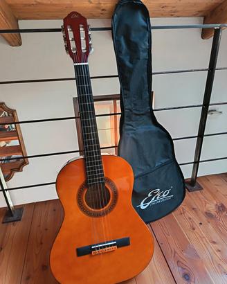 chitarra acustica Eko