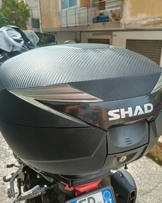 Bauletto Shad 47 litri