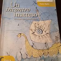 Un incontro inatteso.  Epica. Antologia