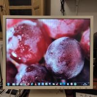 NEC LCD multysinc monitor 1880SX