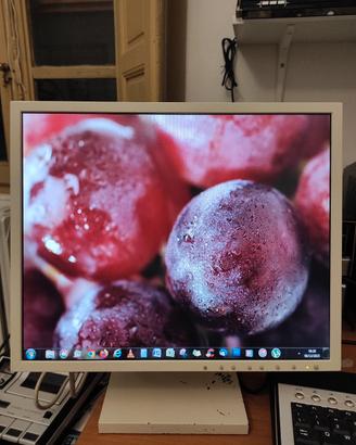 NEC LCD multysinc monitor 1880SX